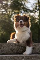 Marine PEQUIN - PHOTOGRAPHY QLM