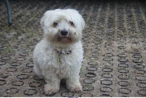 Jean Pierre GUERIN - AMPLITUDE-PHOTO